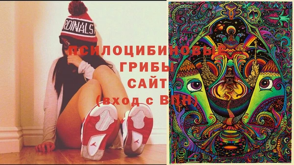 мескалин Балахна